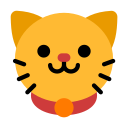 Kitten